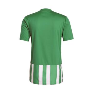 striped 21 jsy teagrn/white