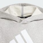 essentials two colored big logo cotton hoodie grey is2590 01 laydown