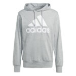 men big logo essentials hooded sweatshirt