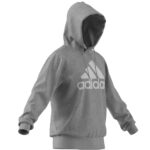 men big logo essentials hooded sweatshirt