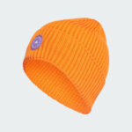 ik6895 asmc beanie 1