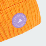 ik6895 asmc beanie 1