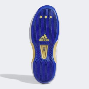 crazy 1 ftwwht/boblue/magold